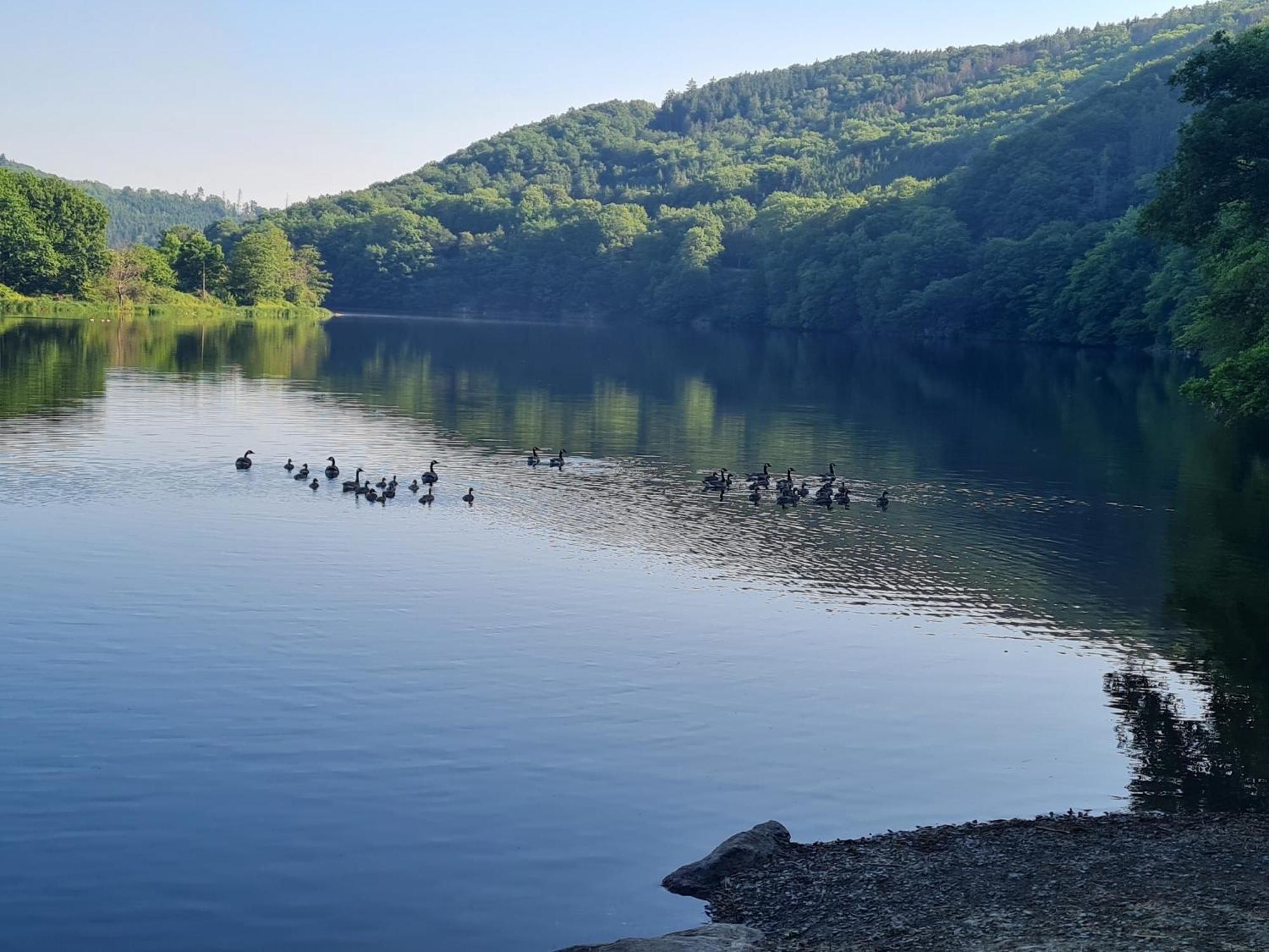 Ferienwohnung Am Rursee -Wohnung 2 Simmerath Cameră foto