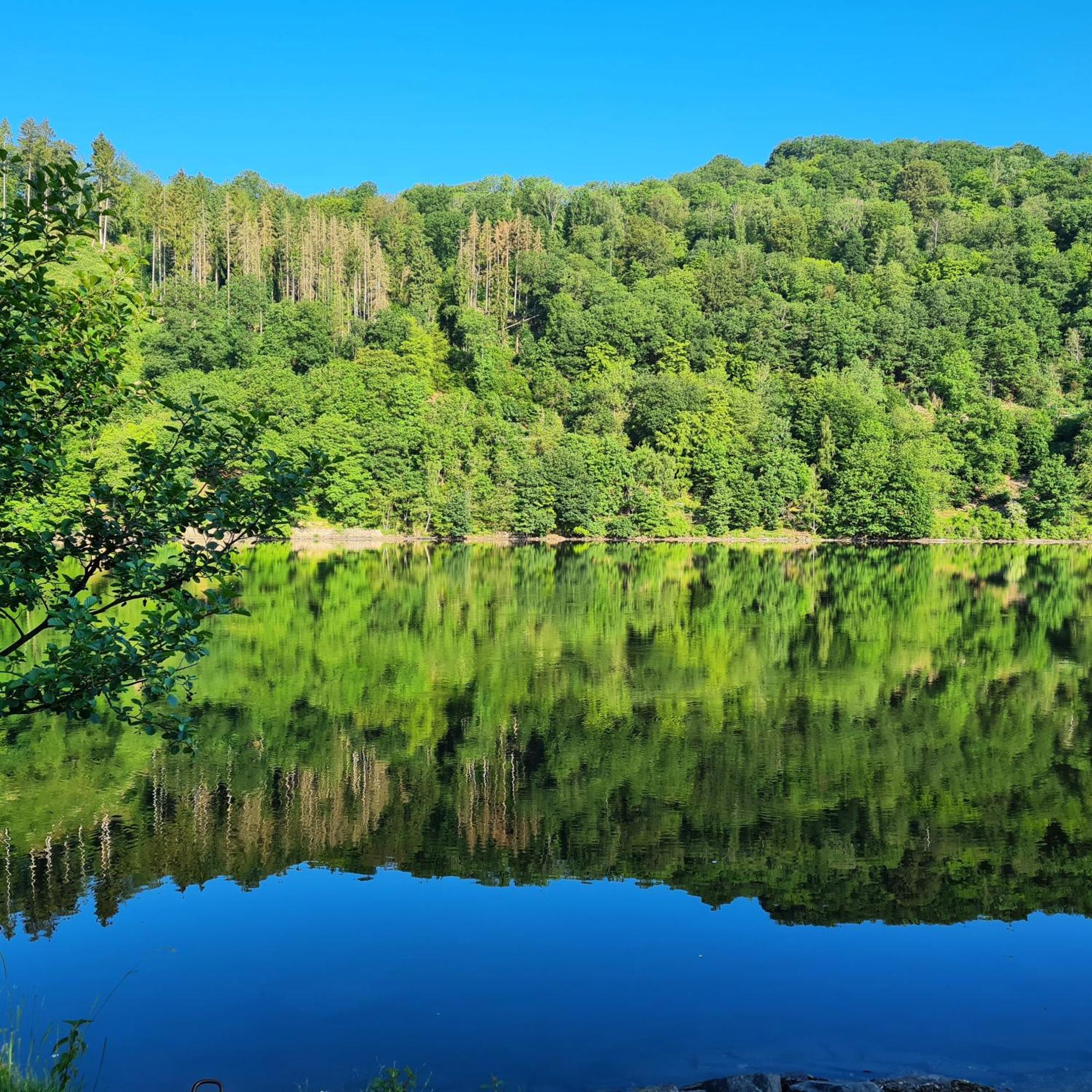 Ferienwohnung Am Rursee -Wohnung 2 Simmerath Cameră foto